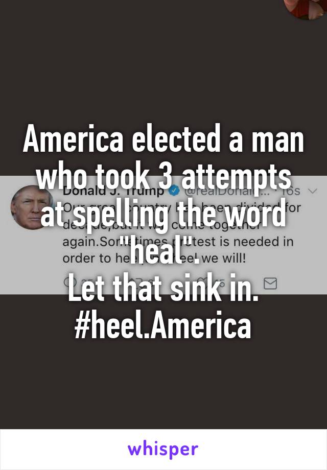 America elected a man who took 3 attempts at spelling the word "heal". 
Let that sink in.
#heel.America