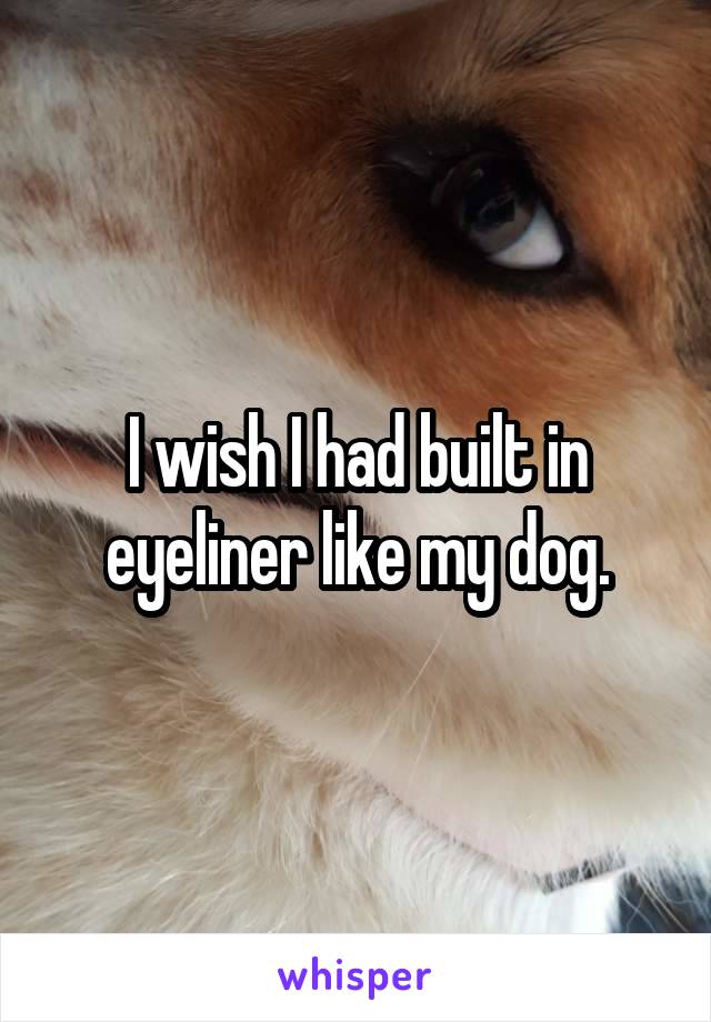 I wish I had built in eyeliner like my dog.