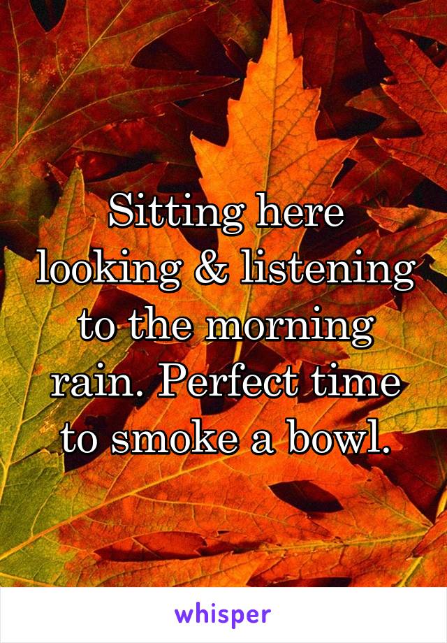 Sitting here looking & listening to the morning rain. Perfect time to smoke a bowl.