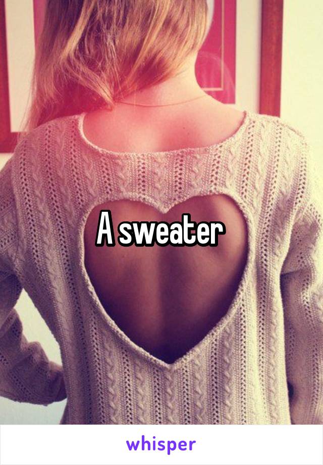 A sweater 