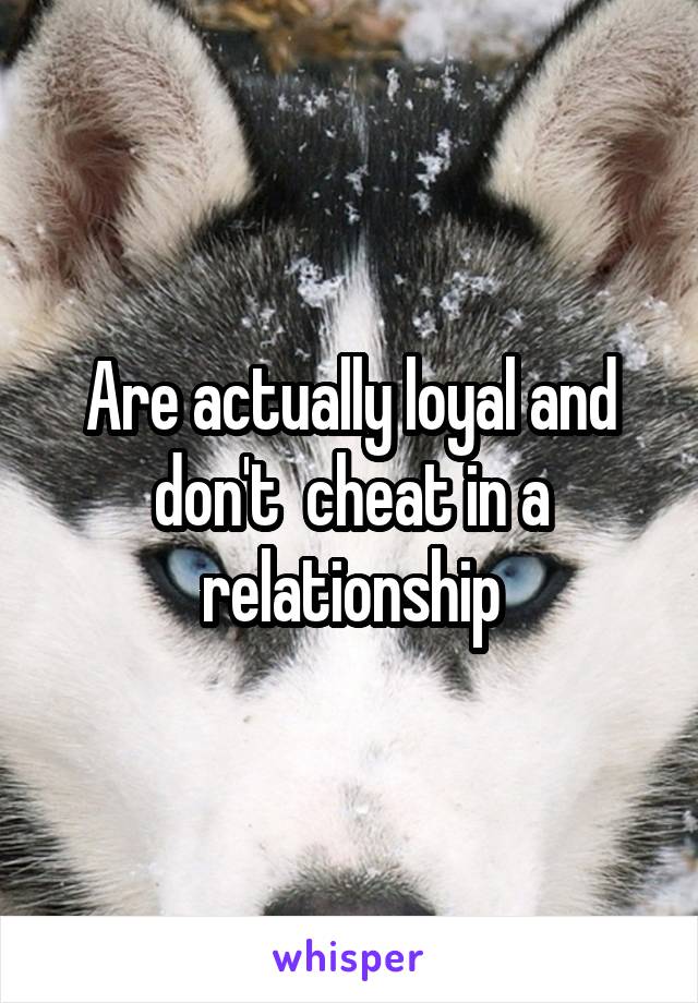 Are actually loyal and don't  cheat in a relationship