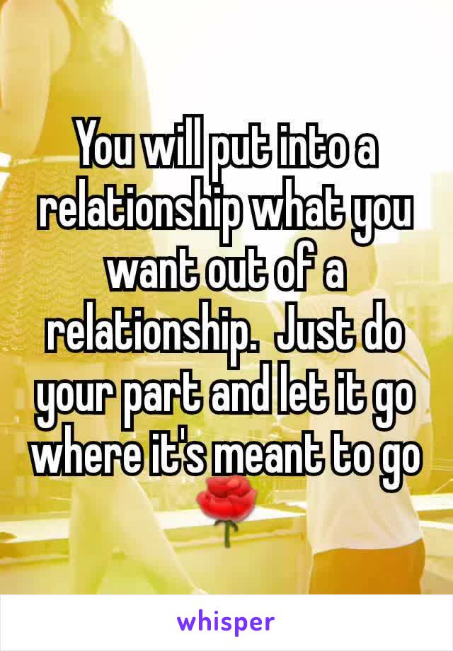 You will put into a relationship what you want out of a relationship.  Just do your part and let it go where it's meant to go 🌹