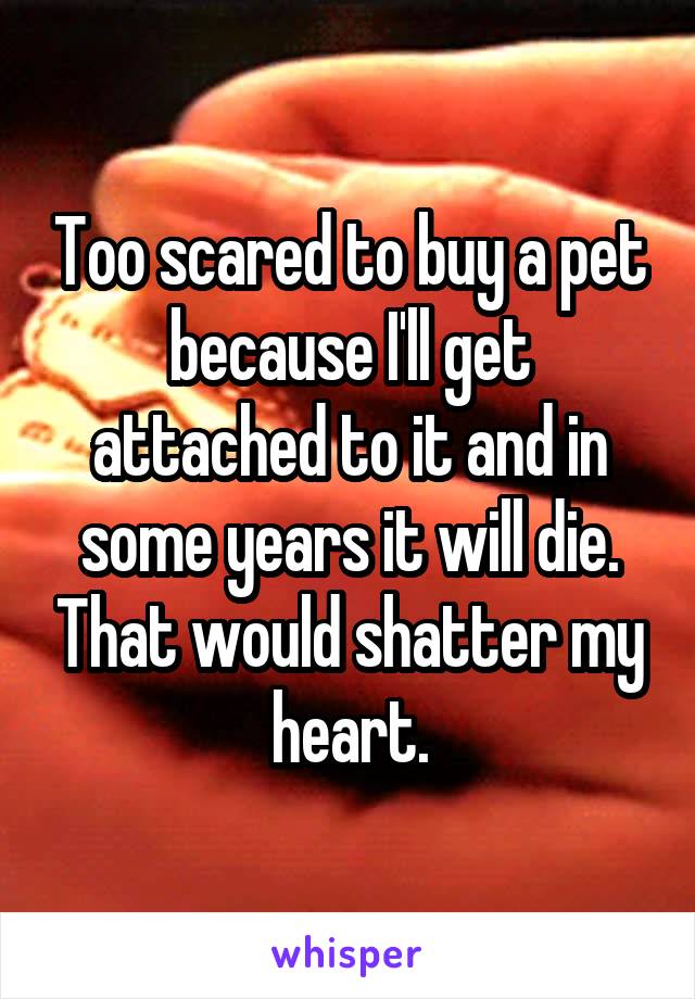 Too scared to buy a pet because I'll get attached to it and in some years it will die. That would shatter my heart.