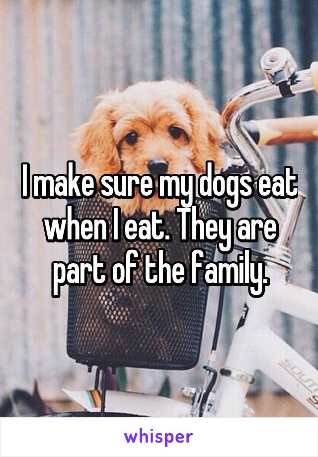 I make sure my dogs eat when I eat. They are part of the family.
