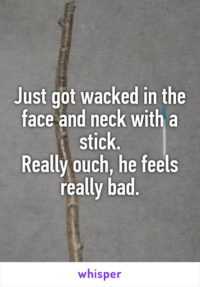 Just got wacked in the face and neck with a stick.
Really ouch, he feels really bad.