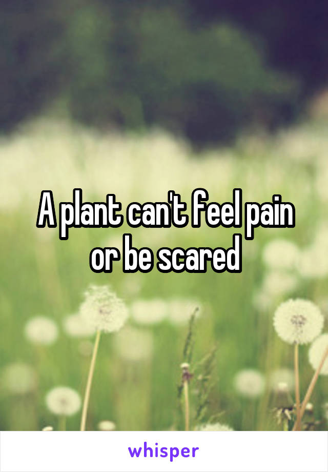 A plant can't feel pain or be scared