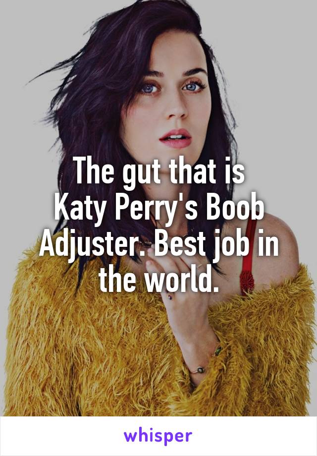 The gut that is
Katy Perry's Boob Adjuster. Best job in the world.