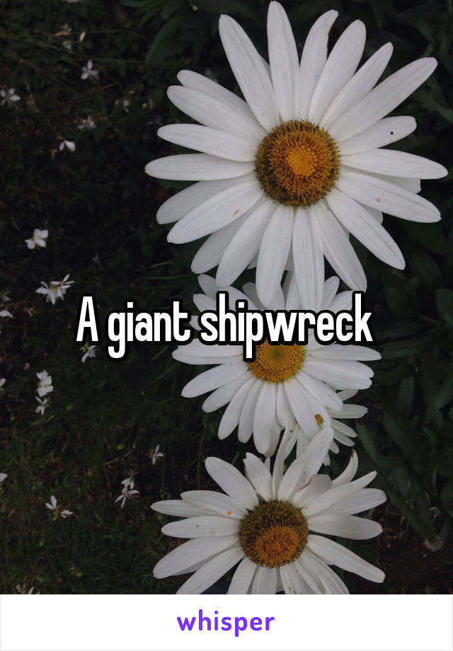 A giant shipwreck 