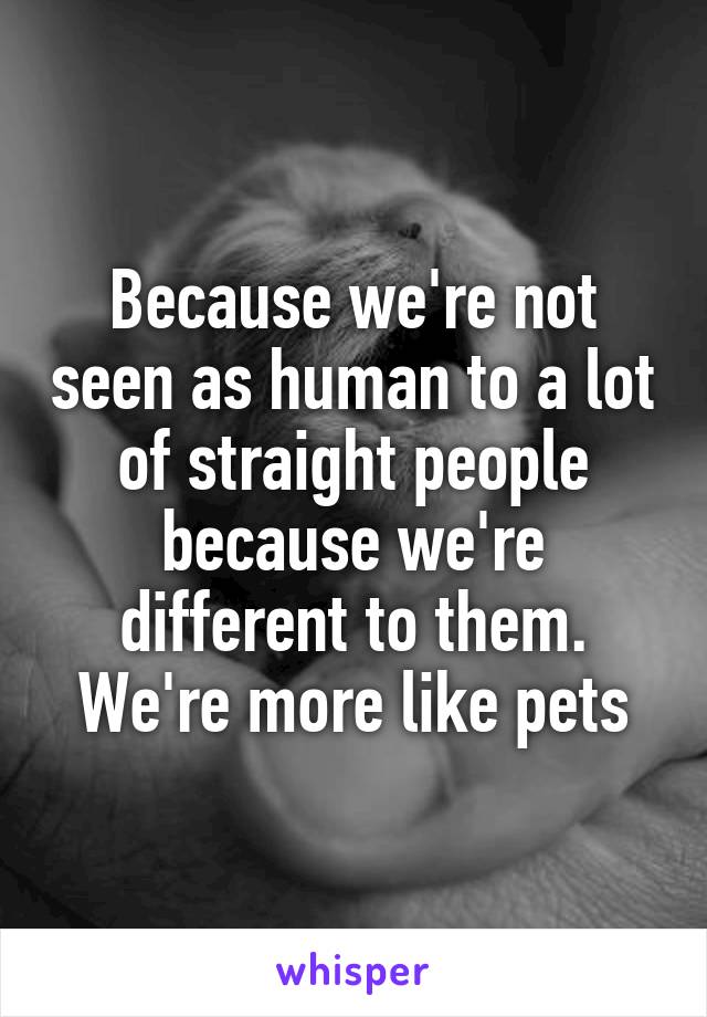 Because we're not seen as human to a lot of straight people because we're different to them. We're more like pets