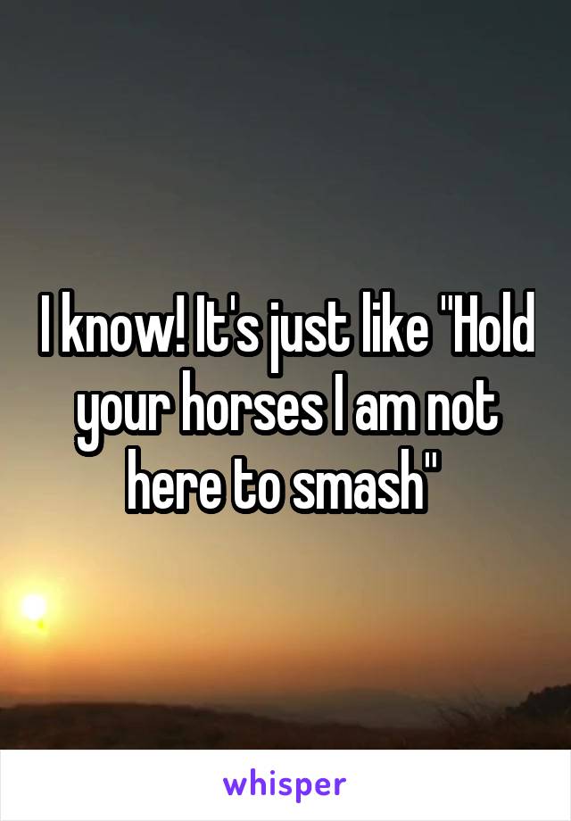 I know! It's just like "Hold your horses I am not here to smash" 