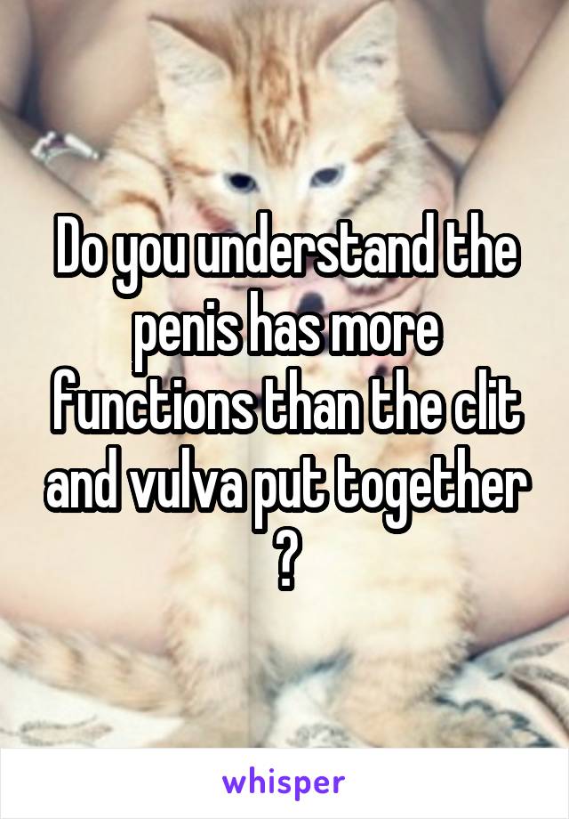 Do you understand the penis has more functions than the clit and vulva put together ?