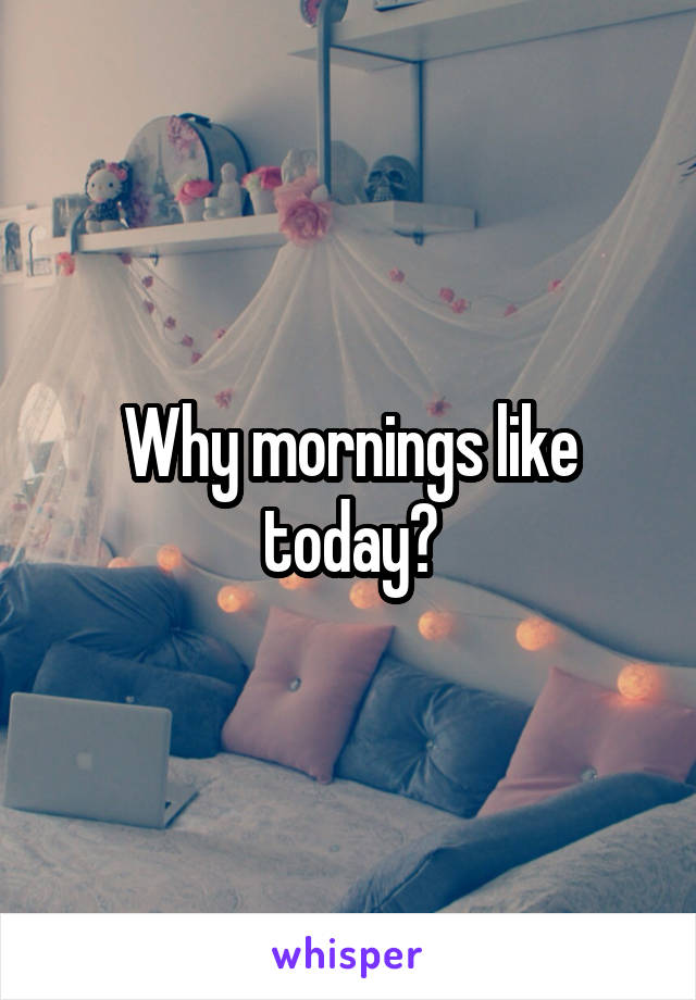 Why mornings like today?