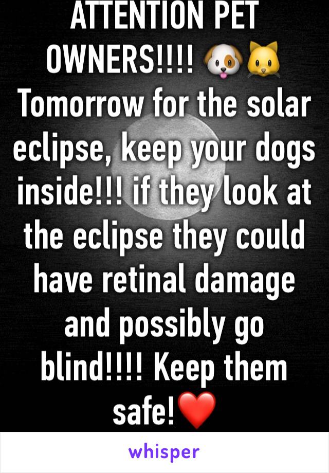 ATTENTION PET OWNERS!!!! 🐶🐱Tomorrow for the solar eclipse, keep your dogs inside!!! if they look at the eclipse they could have retinal damage and possibly go blind!!!! Keep them safe!❤️