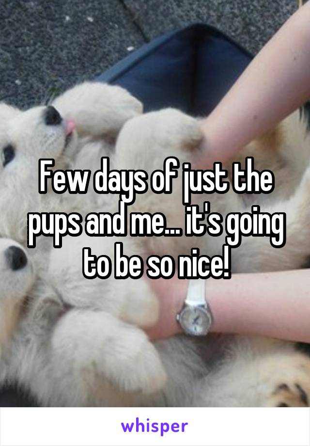 Few days of just the pups and me... it's going to be so nice!