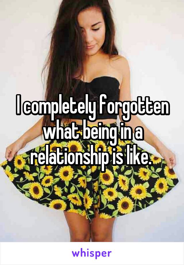 I completely forgotten what being in a relationship is like. 