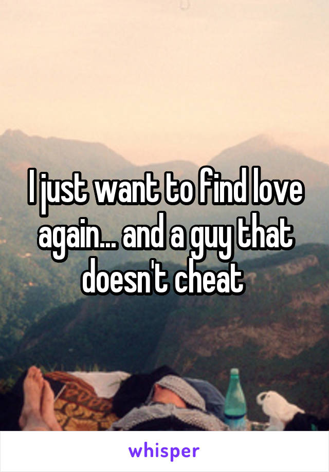 I just want to find love again... and a guy that doesn't cheat 