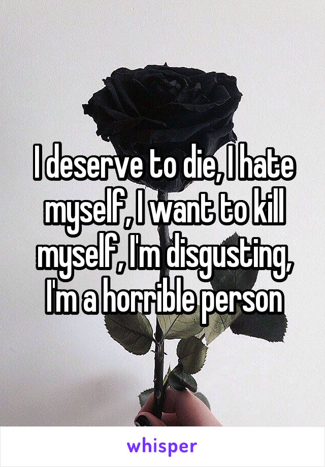 I deserve to die, I hate myself, I want to kill myself, I'm disgusting, I'm a horrible person