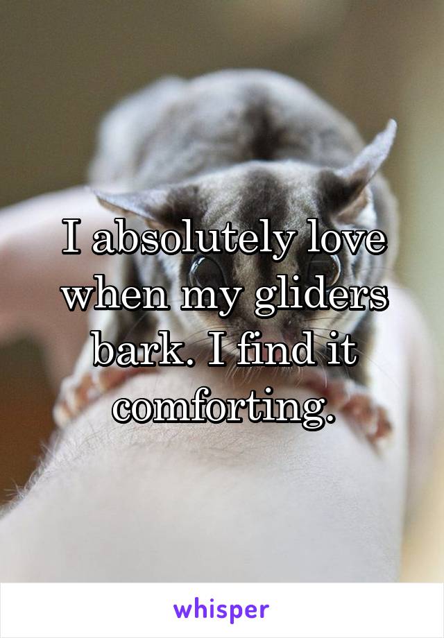 I absolutely love when my gliders bark. I find it comforting.