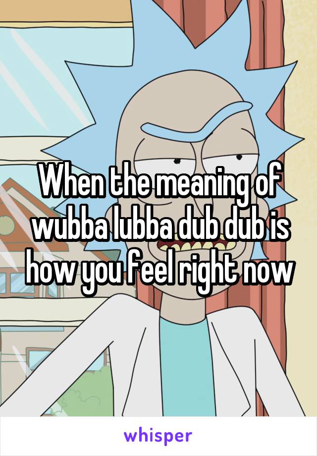 When the meaning of wubba lubba dub dub is how you feel right now
