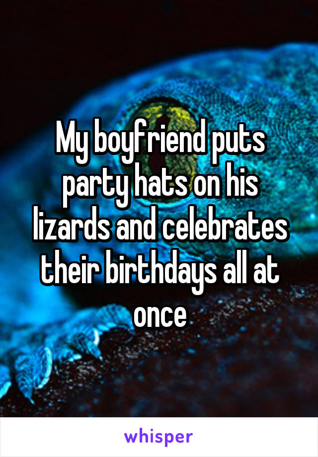 My boyfriend puts party hats on his lizards and celebrates their birthdays all at once