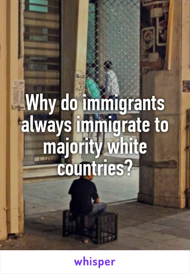 Why do immigrants always immigrate to majority white countries?