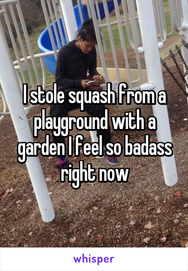 I stole squash from a playground with a garden I feel so badass right now