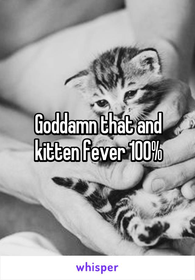 Goddamn that and kitten fever 100%