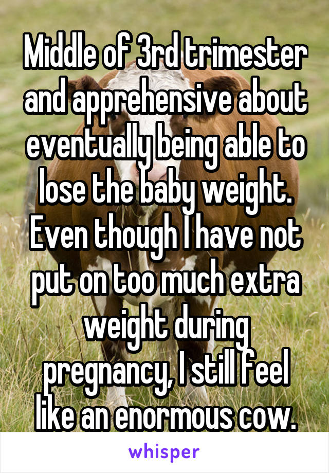 Middle of 3rd trimester and apprehensive about eventually being able to lose the baby weight. Even though I have not put on too much extra weight during pregnancy, I still feel like an enormous cow.