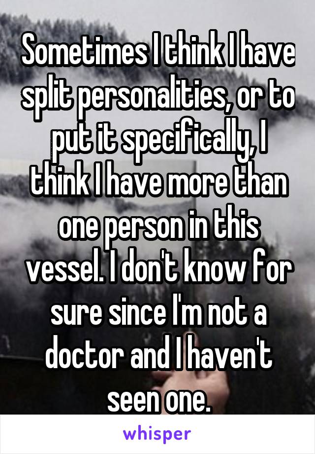 Sometimes I think I have split personalities, or to put it specifically, I think I have more than one person in this vessel. I don't know for sure since I'm not a doctor and I haven't seen one.