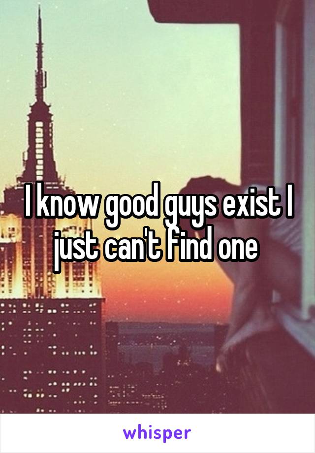 I know good guys exist I just can't find one 