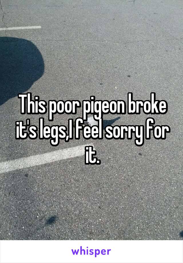 This poor pigeon broke it's legs,I feel sorry for it.
