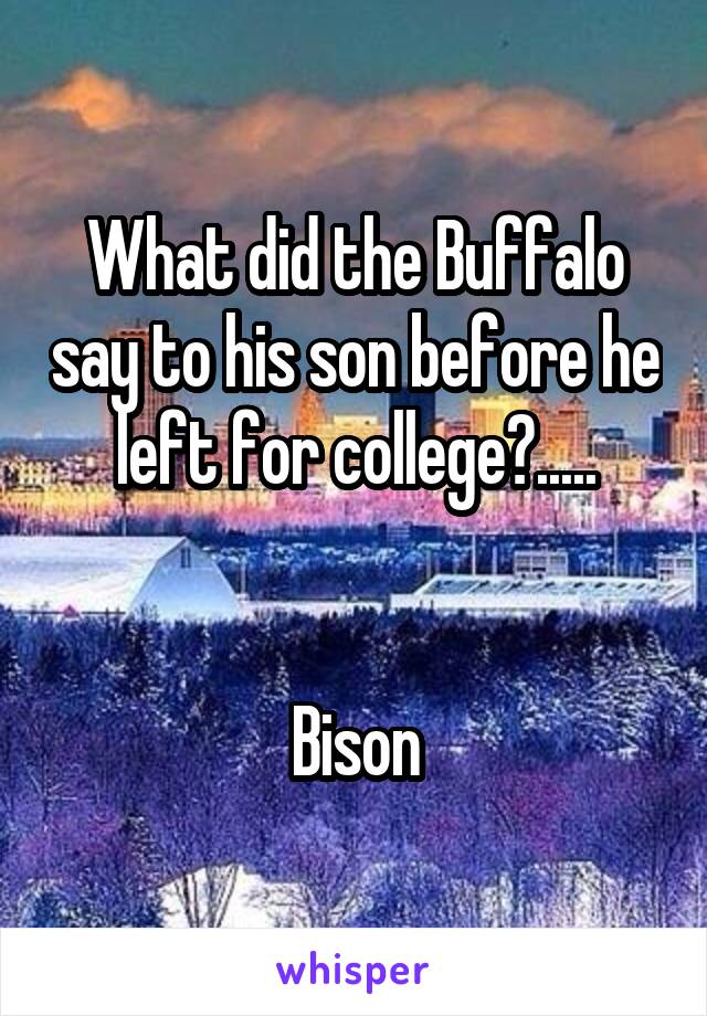 What did the Buffalo say to his son before he left for college?.....


Bison