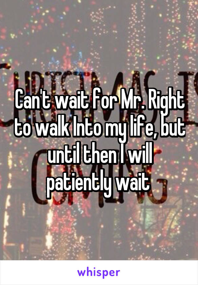 Can't wait for Mr. Right to walk Into my life, but until then I will patiently wait 