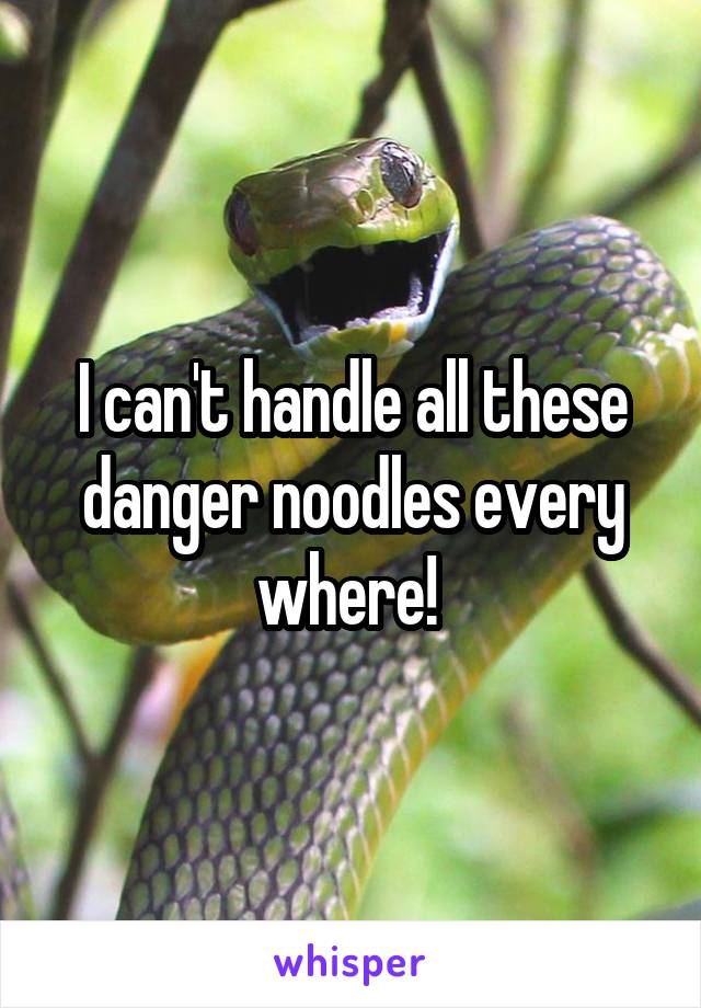 I can't handle all these danger noodles every where! 