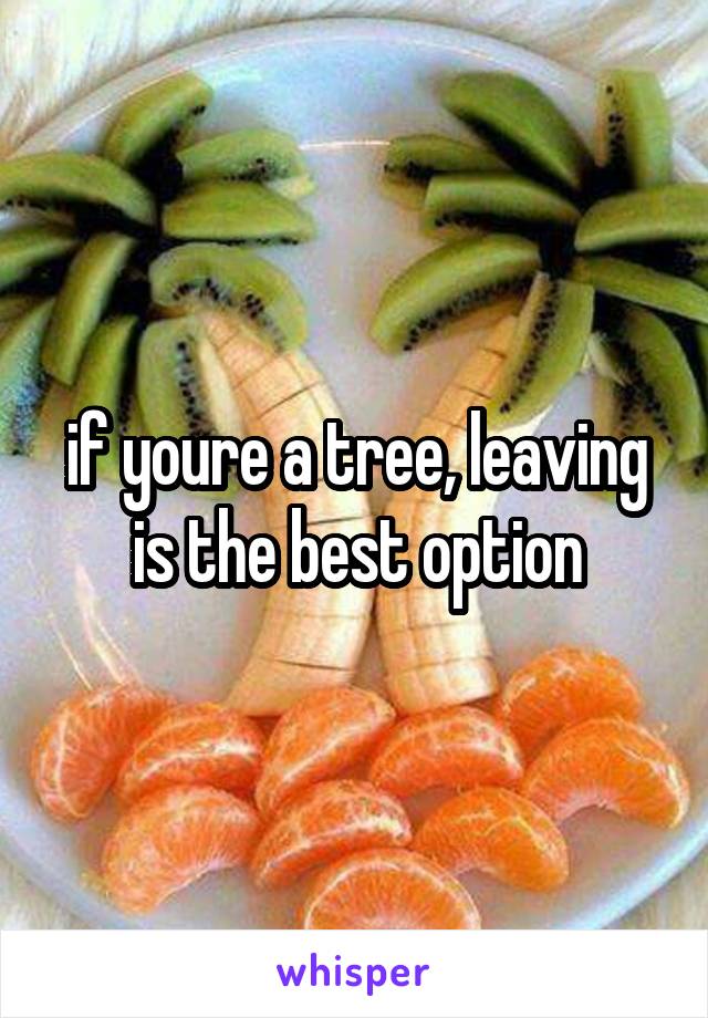 if youre a tree, leaving is the best option