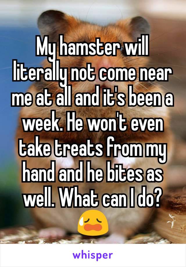 My hamster will literally not come near me at all and it's been a week. He won't even take treats from my hand and he bites as well. What can I do?😥