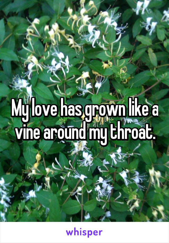 My love has grown like a vine around my throat.