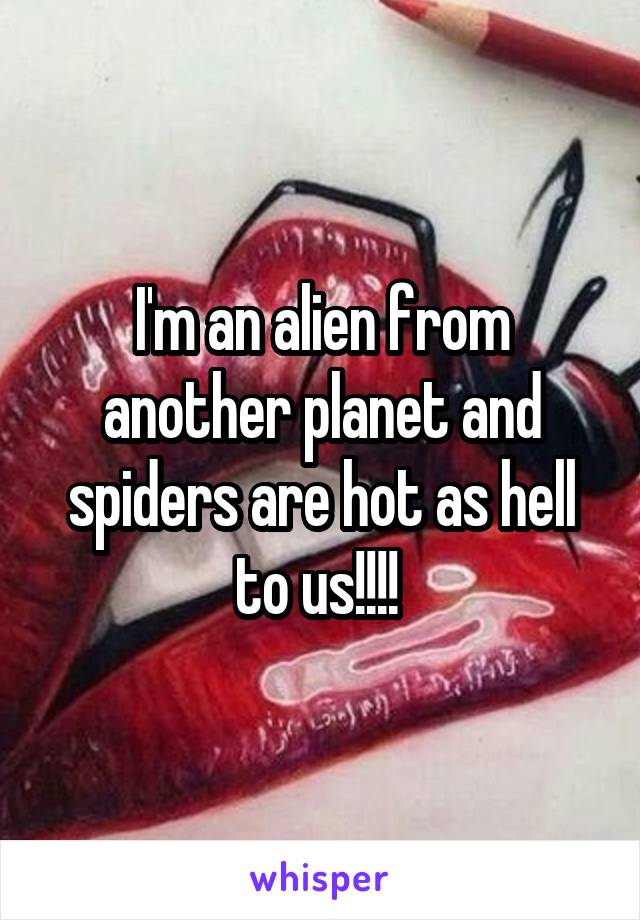 I'm an alien from another planet and spiders are hot as hell to us!!!! 