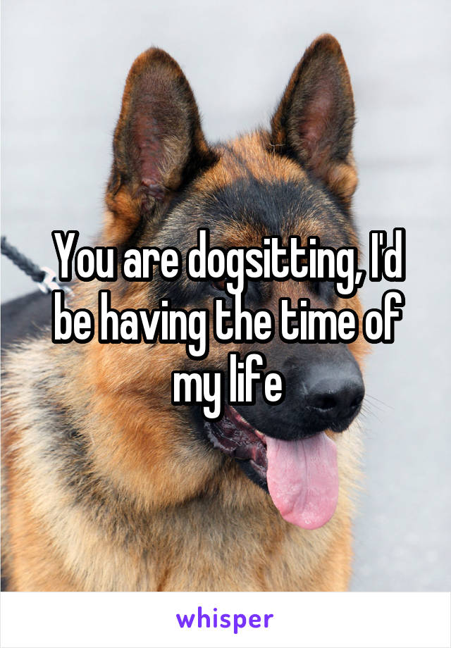 You are dogsitting, I'd be having the time of my life