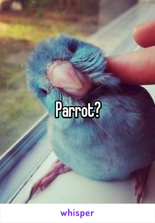 Parrot?