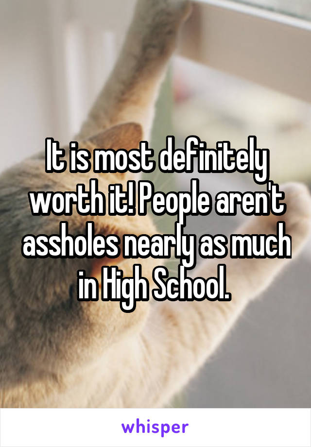 It is most definitely worth it! People aren't assholes nearly as much in High School. 