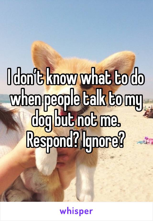 I don’t know what to do when people talk to my dog but not me. Respond? Ignore? 