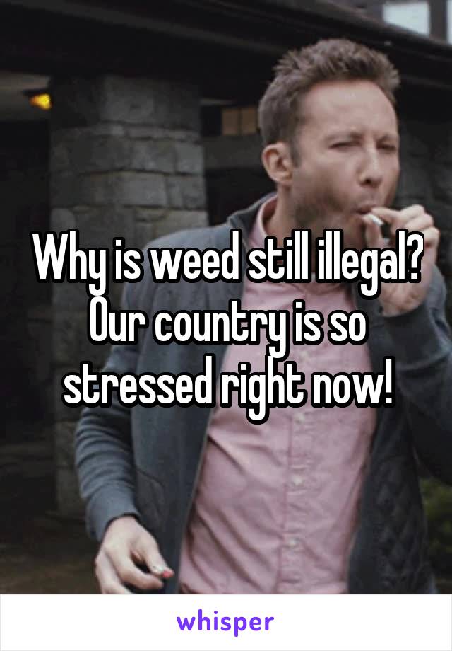Why is weed still illegal?
Our country is so stressed right now!