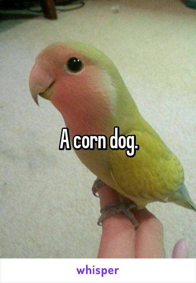 A corn dog.