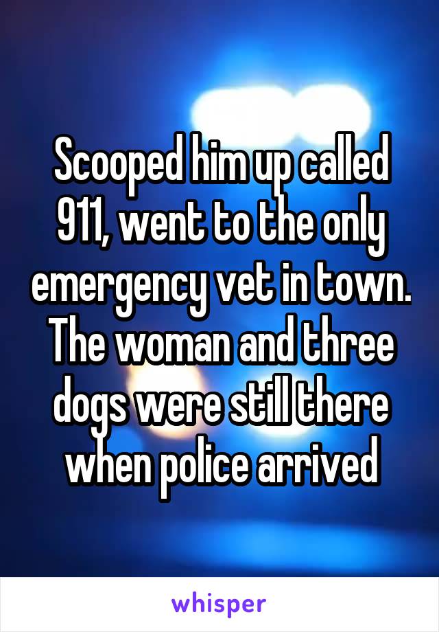 Scooped him up called 911, went to the only emergency vet in town. The woman and three dogs were still there when police arrived