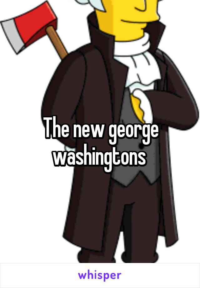 The new george washingtons 