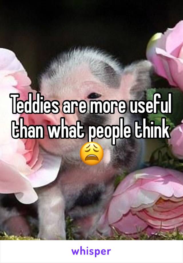 Teddies are more useful than what people think 😩