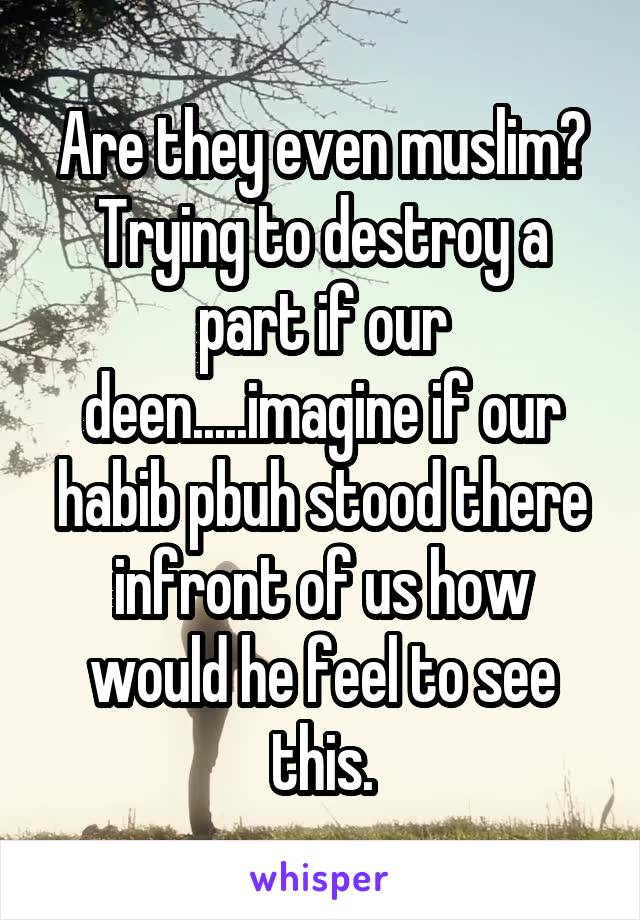 Are they even muslim?
Trying to destroy a part if our deen.....imagine if our habib pbuh stood there infront of us how would he feel to see this.