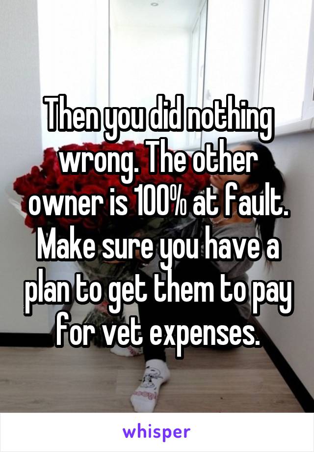 Then you did nothing wrong. The other owner is 100% at fault. Make sure you have a plan to get them to pay for vet expenses.