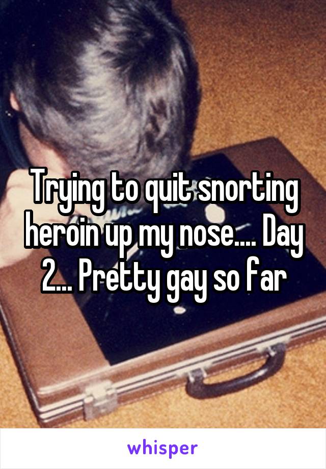 Trying to quit snorting heroin up my nose.... Day 2... Pretty gay so far